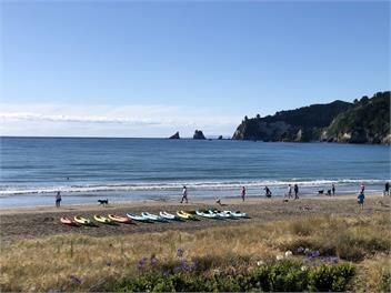 Hosts on the Coast Paradise on Pipi - Whangamata