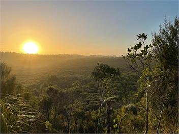Immerse yourself in the West Coast native flora and fauna - swimming, sunsets and tranquility - Westport
