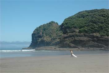 Ara Station - Bethells Beach