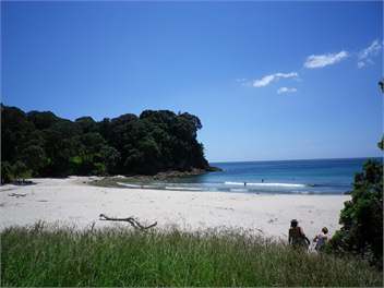 Pohutakawa Getaway -