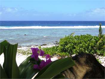 Heron's Reef View Studio, Matavera - Avarua