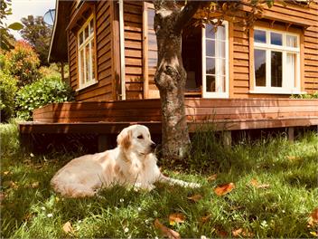 Rock 'n Rata Cottage - Golden Bay