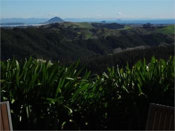 "PAPAMOA COUNTRY COTTAGE" - Rd7 Te Puke