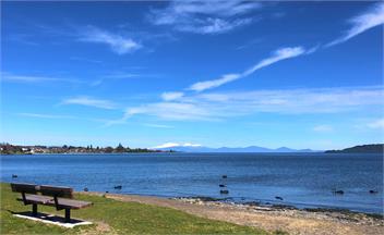 Lake Taupo Apartment - Waimahana 12 - Taupo