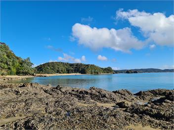 Beach Front House in Ohawini Bay, Northland / Oakura Bay - Northland