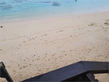 Tarani Beach Bungalow with Air conditioning and FREE unlimited WIFI - Avarua, Rarotonga . Cook Islands