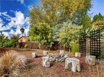 Stag & 3 Pigs (Bachcare) - Ohakune