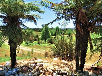 Gold Nugget Hut - Blue Spur Farmstay - Hokitika