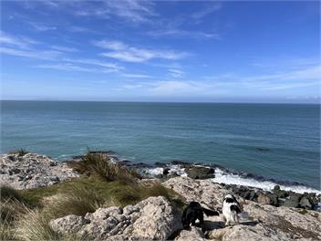 Riverton Rocks getaway - spectacular sea views and pet friendly - Riverton