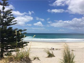 Te Arai Sanctuary - Mangawhai