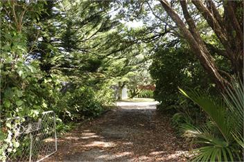 Serenity in Punakaiki - Punakaiki