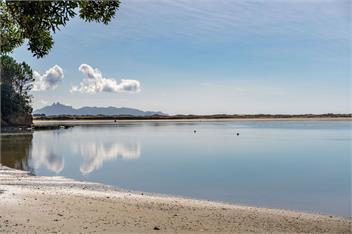 Blue Skies Sunrise (Bachcare) - Mangawhai Heads