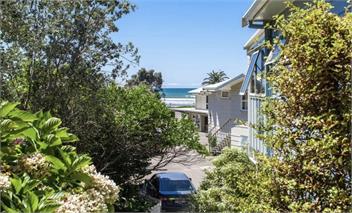 Pacific Paradise - Ohope