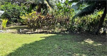 ARIKA PALMS BEACH BACH | ABSOLUTE BEACHFRONT | TITIKAVEKA - Rarotonga