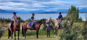 Kepler Oaks Chalet Waiau Chalet - Te Anau