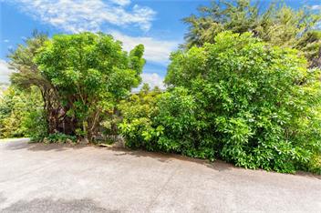 Treetop Break (Bachcare) - Waipu Cove