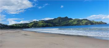 Beach Retreat - WHITIANGA