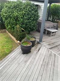 Hosts on the Coast Crown Reef Cottage - Pauanui