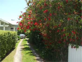 One Panama - Martinborough