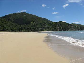 Anaura Bay - East Coast