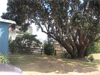 Dillon Street - Waihi Beach