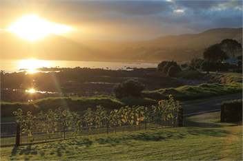 Waihau Bay Cottage - Waihau Bay