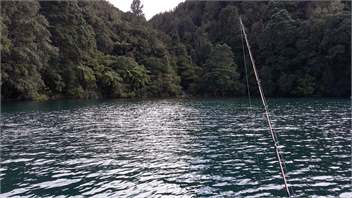 Lakefront Studio - Rotorua