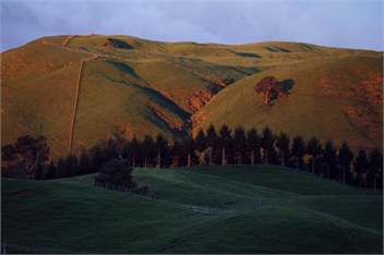 Taupo Farm Lodge - Farmstay, self-contained accommodation - Taupo