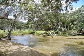 TePea Lodge   - Great Barrier Island