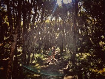 The Boatshed. Eco Modern Bach. "The Best Beach on the Planet" - Golden Bay