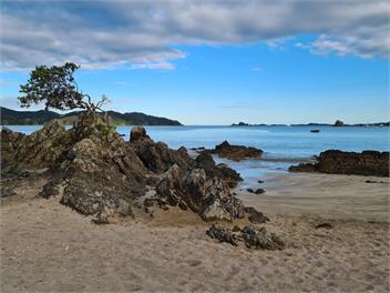 Beach Front House in Ohawini Bay, Northland / Oakura Bay - Northland