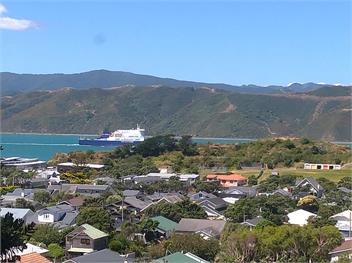Seaviews over Seatoun - Wellington