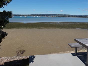 Kakariki Haven - Omokoroa