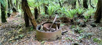 The Kiwi Cabin - Jacksons