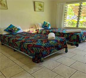 Mango Cottage - with A/C, unlimited Wifi and plunge pool - Avarua