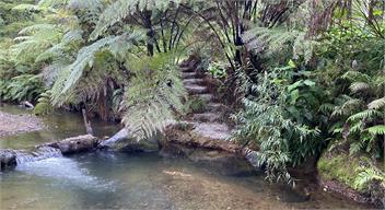 Helena Bay Nature Hideaway - Whangarei