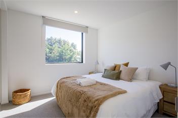 Luxury Fern Burn Retreat, Wanaka - Wanaka