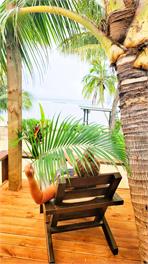 Sunset Palms Rarotonga - Beach House - 