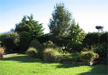 Arwen - South Island