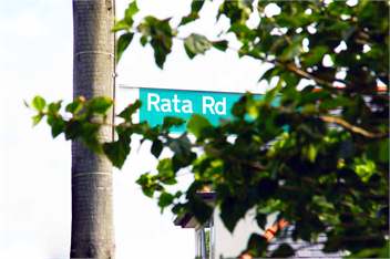 Rata Cottage - AUCKLAND