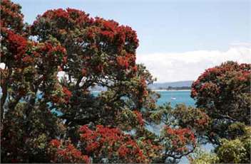 Shores - Manaia apartment - Self Catering  - Whangarei