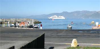 The Palace - Kaikoura