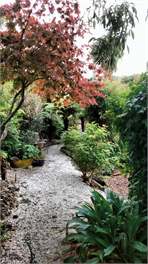 Seafarer's Cottage - Dunedin
