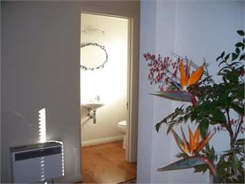 Remuera B&B at your Fingertips - Auckland