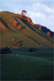Taupo Farm Lodge - Farmstay, self-contained accommodation - Taupo