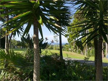 Seaviews, Cedar hot tub, Kayaking, Native Virgin bush - WHANGAREI