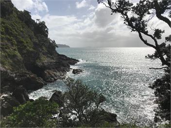 BELLE COVE LODGE & SUITE : Coast and Country - auckland