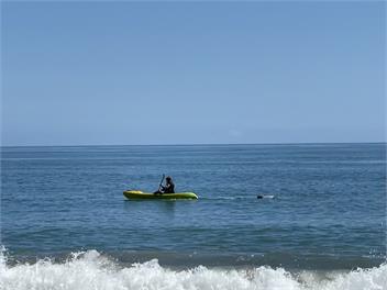 Neil's Beach Bach - Neils Beach, Jackson Bay