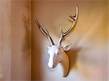 Stag & 3 Pigs (Bachcare) - Ohakune