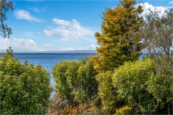 Lakefront Gem (Bachcare) - Kuratau